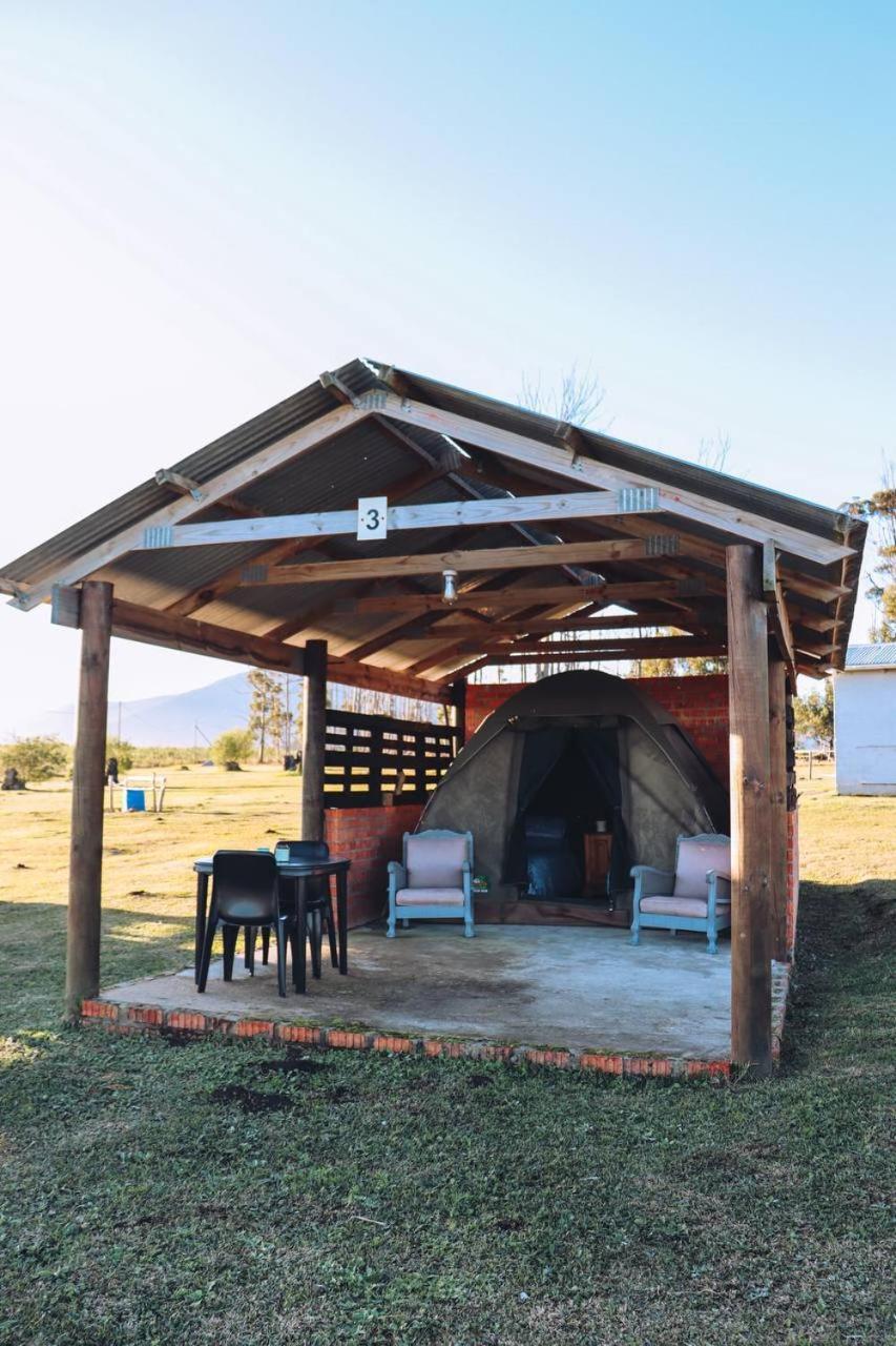 Cadeau Hiking&Accommodation Witelsbos Bagian luar foto